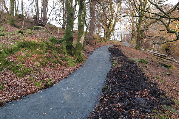 An image showing a path constructed by us during a ground works project.